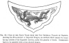 FIG. 45.ONE OF THE EAVE TILES FROM THE OLD IMPERIAL PALACE OF NANKIN, showing the Five-clawed or Imperial Dragon, an emblem which cannot be borne by any outside of the Imperial service, under the penalty of death. Commoners have to be satisfied with a four-clawed dragon.