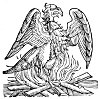 THE PHNIX ON ITS NEST OF FLAMES.